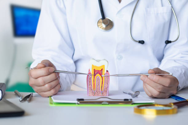 Best Cosmetic Emergency Dentistry in Cold Spring, MN